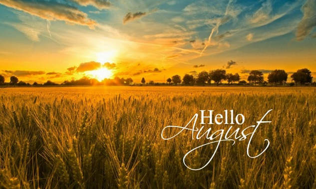 Hello August Wheat field
