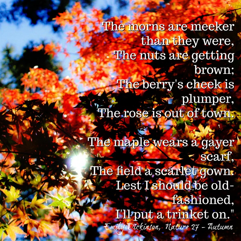 Emily Dickinson - Autumn